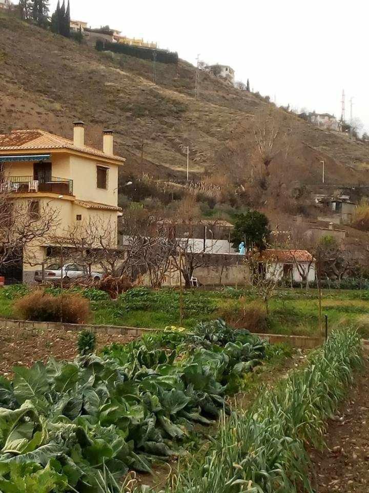 Casa Rural Las Huertas De Roque Monachil Pokoj fotografie